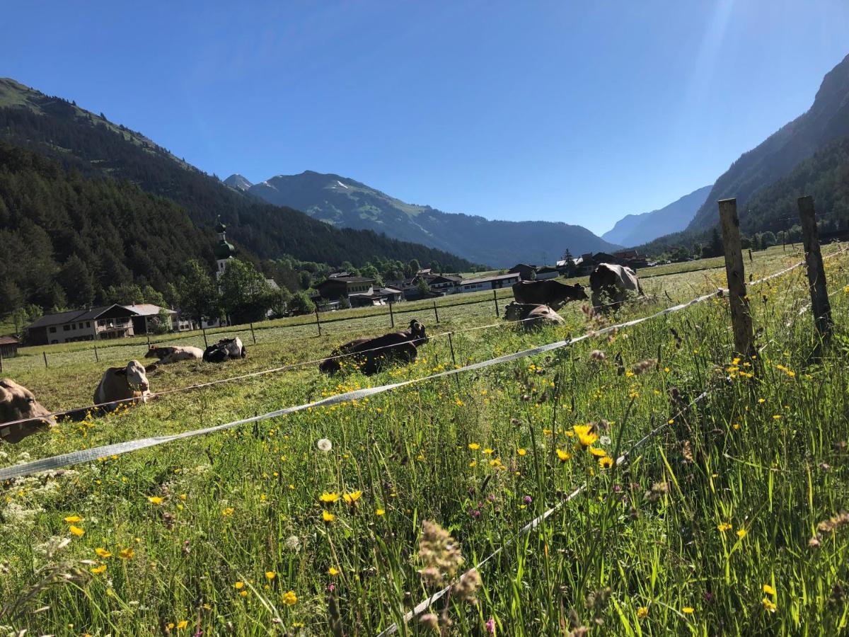 Ferienwohnung Erholungswelt Lechrefugium Steeg Exterior foto